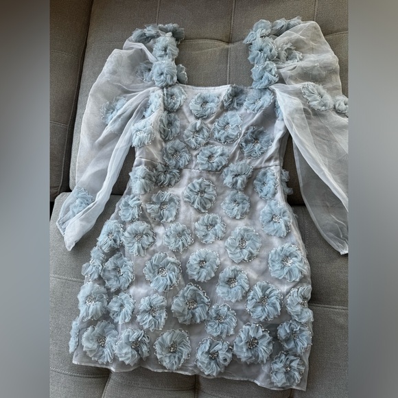 NWT LOVESHACKFANCY Wells appliquéd organza mini dress in blue size 4 - Picture 7 of 12
